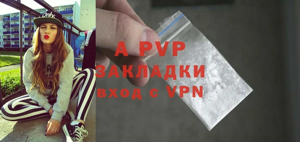 сатива Новодвинск