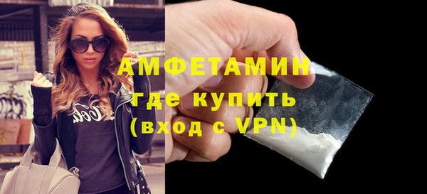 сатива Новодвинск