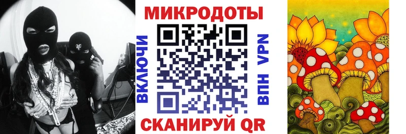 Псилоцибиновые грибы Psilocybine cubensis  Бобров 